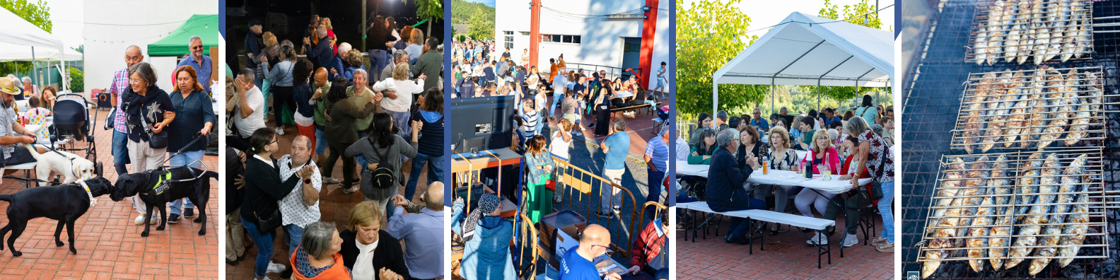 5 fotografias do Arraial Popular, onde se veem várias pessoas, a dançar, a cumprimentar-se, a conversar, a comer e a beber, sentadas em mesas corridas e nas diferentes filas da gastronomia. Também se vê uma imagens com vários labrador retriever, pretos e brancos, e uma grelha com sardinhas a assar.