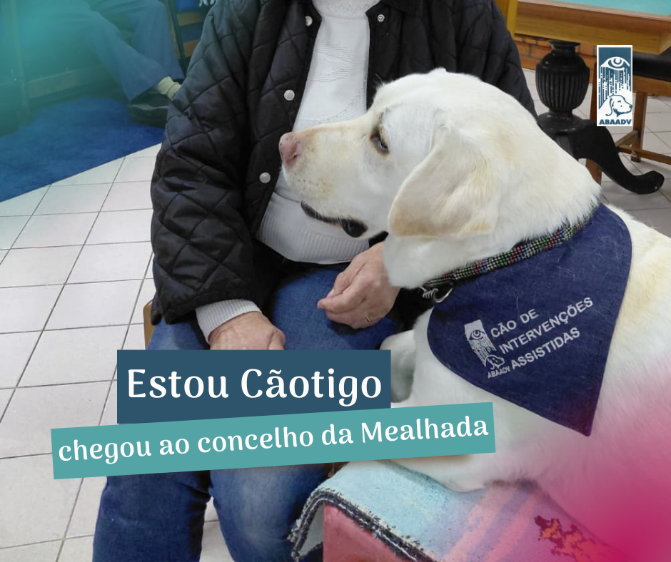 Vê-se um labrador retriever bege que traz um lenço de ganga que diz: cão de intervenções assistidas, com a pata em cima das pernas de uma idosa, que tem, por sua vez, a sua mão em cima da pata do cão Frase: Estou Cãotigo chegou ao concelho da Mealhada.