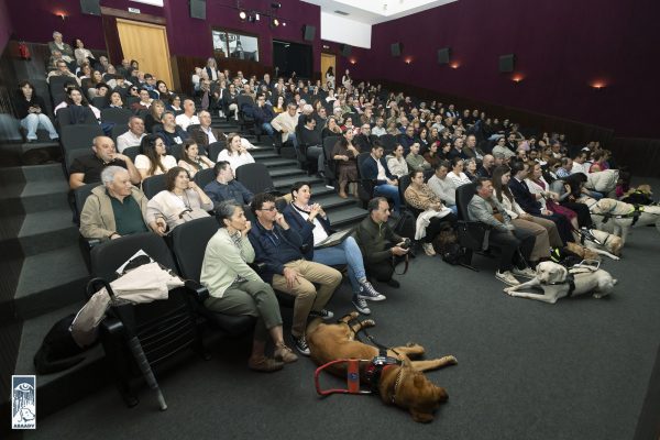Público de uma sala de espectáculos onde se veem várias pessoas sentadas. Estão alguns cães-guia deitados em frente dos lugares da primeira fila.
