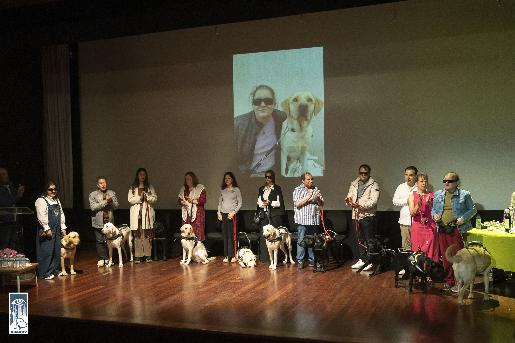 Várias pessoas em cima de um palco, acompanhadas dos respectivos cães-guia para cegos. Há uma projeção com uma fotografia de uma mulher e um labrador retriever bege atrás.